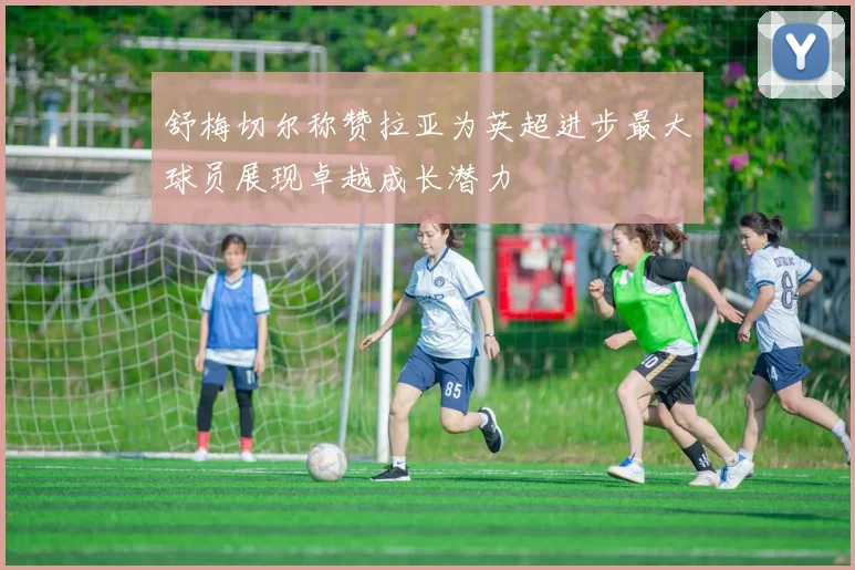 舒梅切尔称赞拉亚为英超进步最大球员展现卓越成长潜力